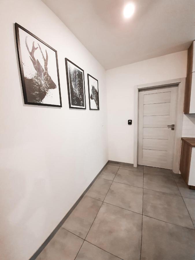 Apartament Krakow Arena No. 91 Lejlighed Eksteriør billede